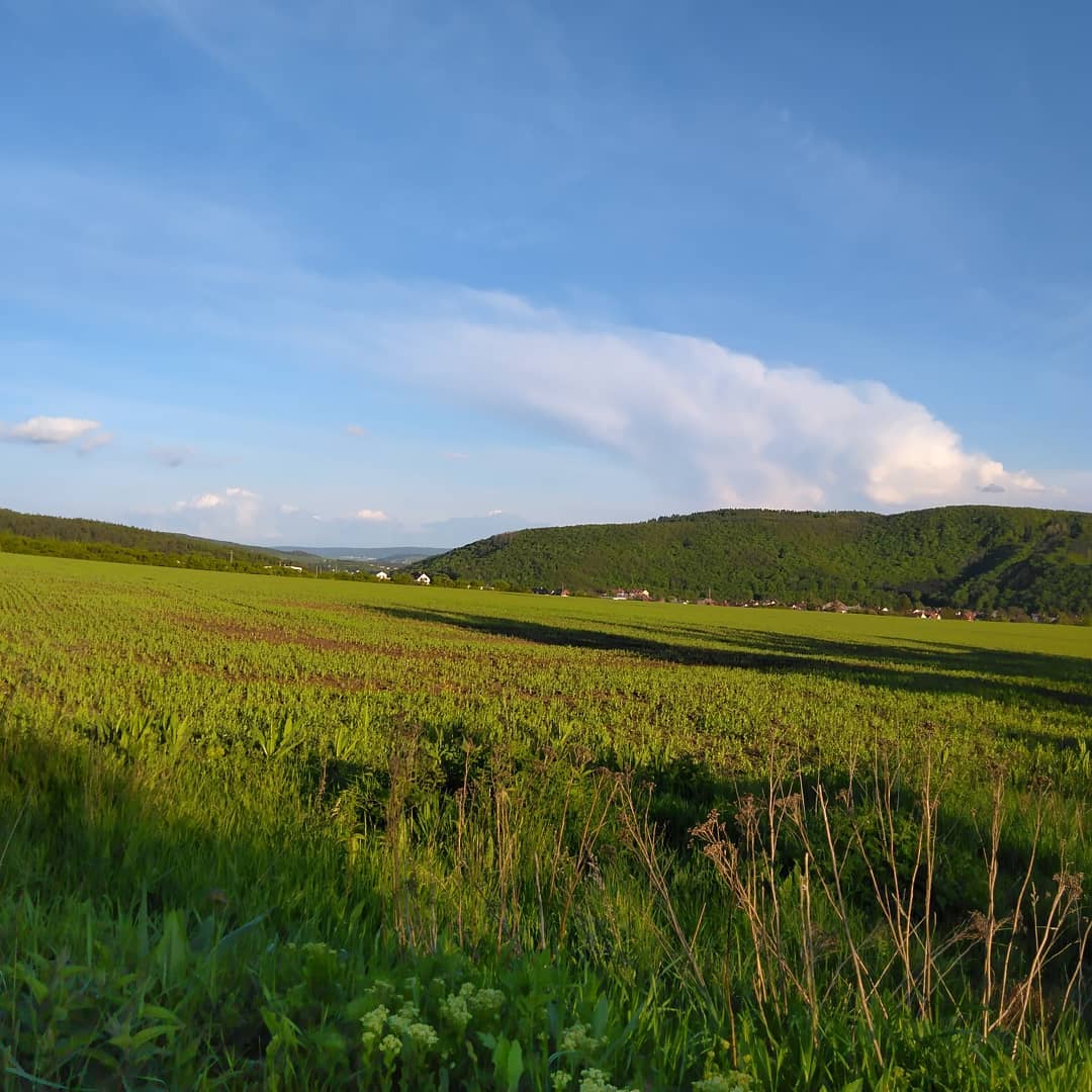 Procházka