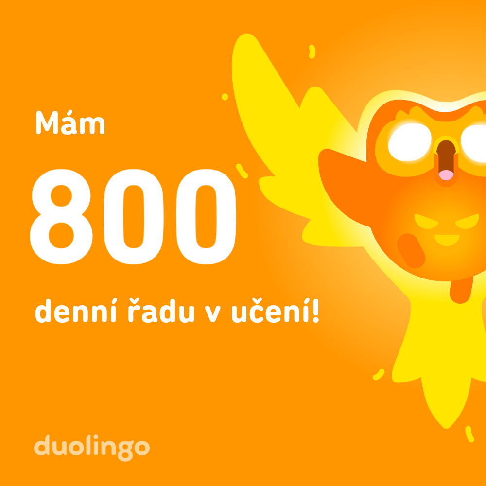 800