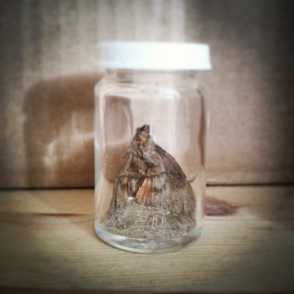 Memento Mori