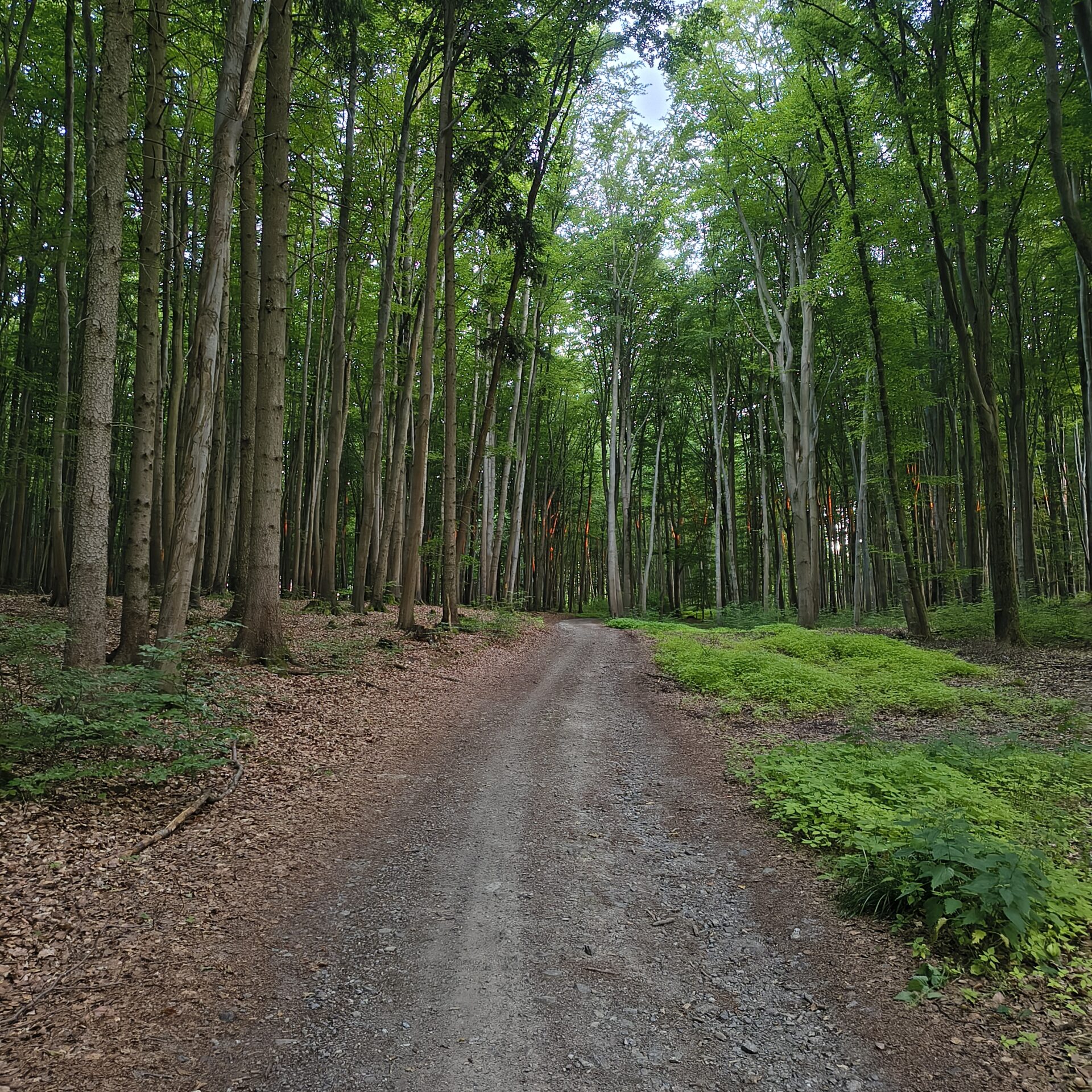 Ze Žlábku