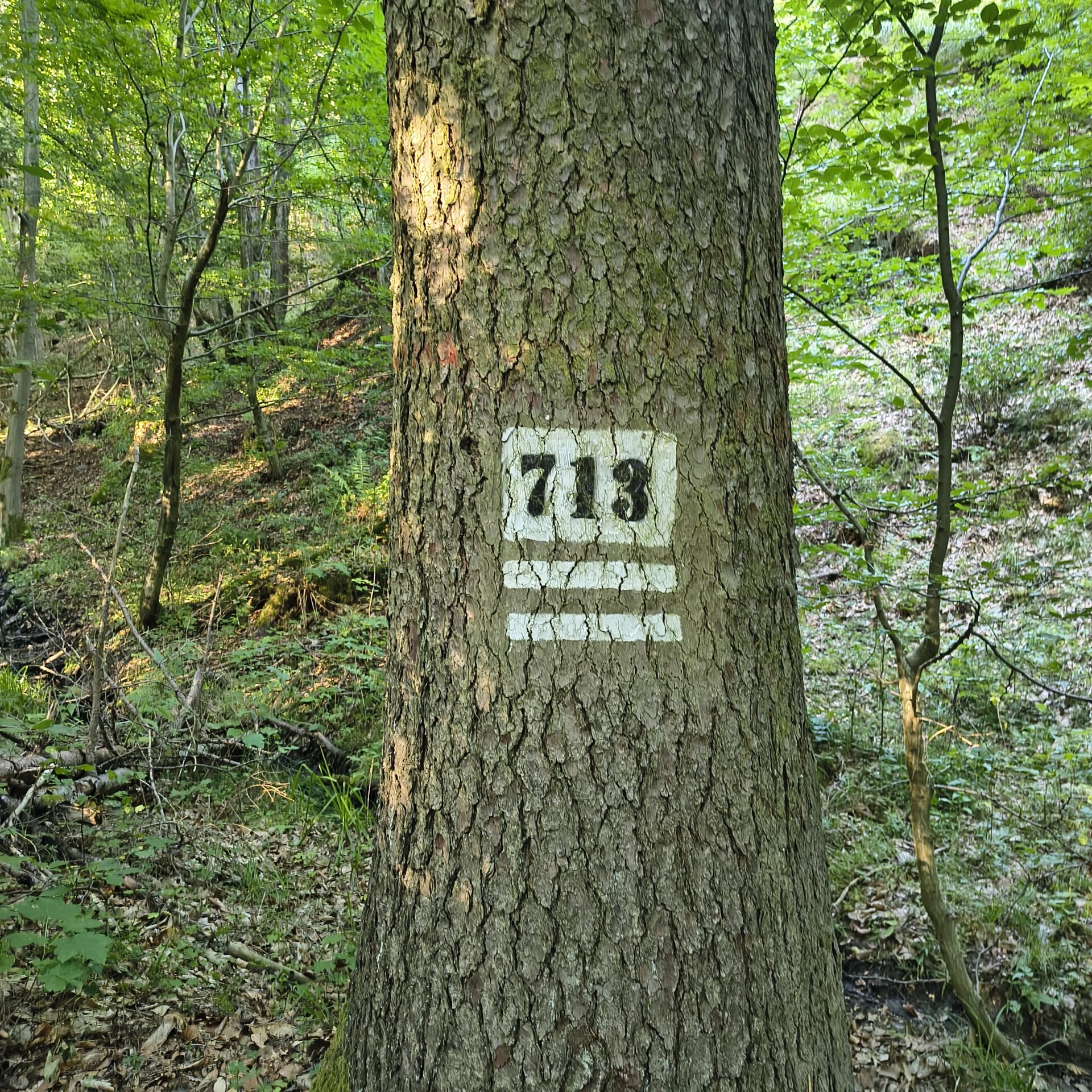 Do Benešova luhu