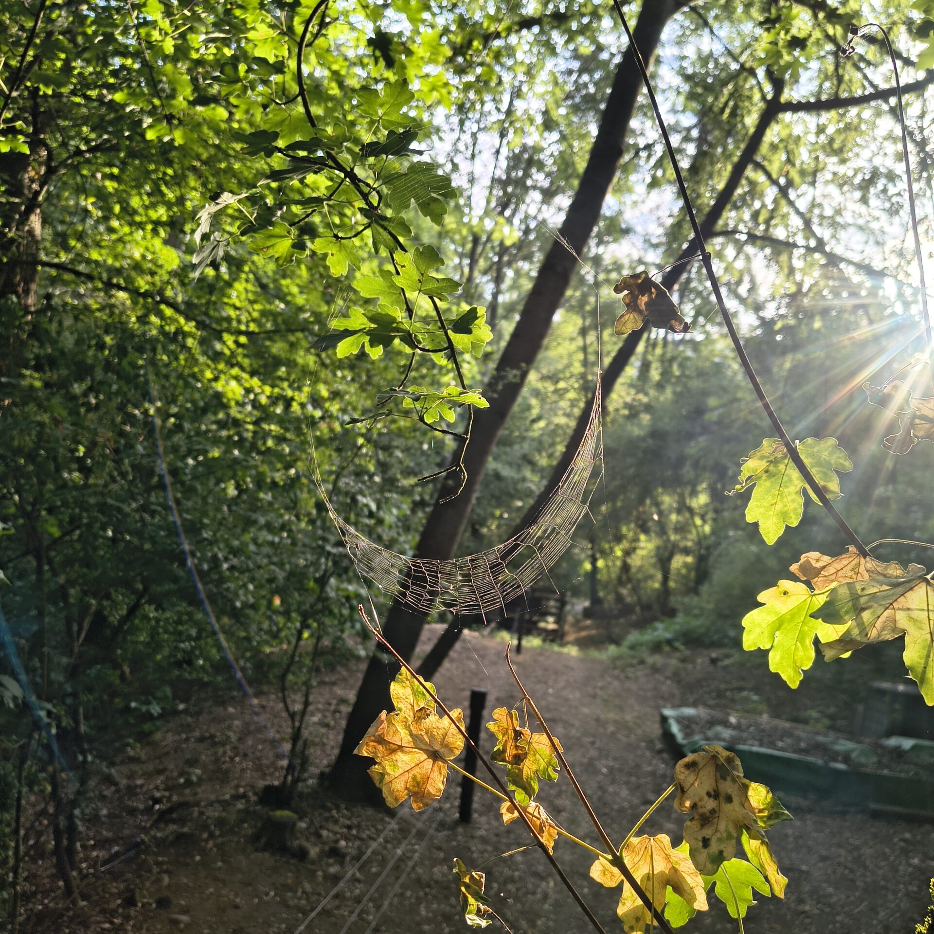 Okamžik