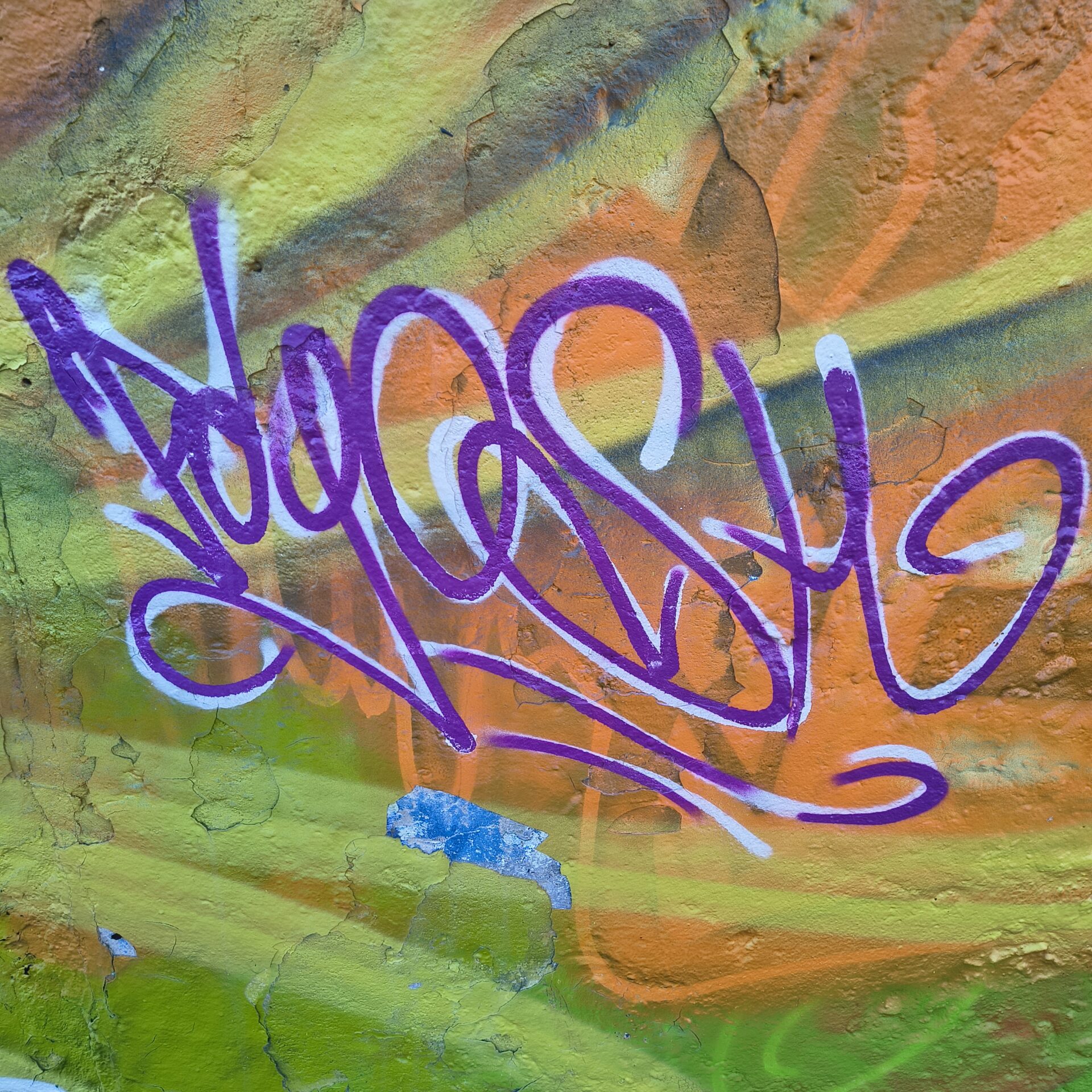 Fogosh 26