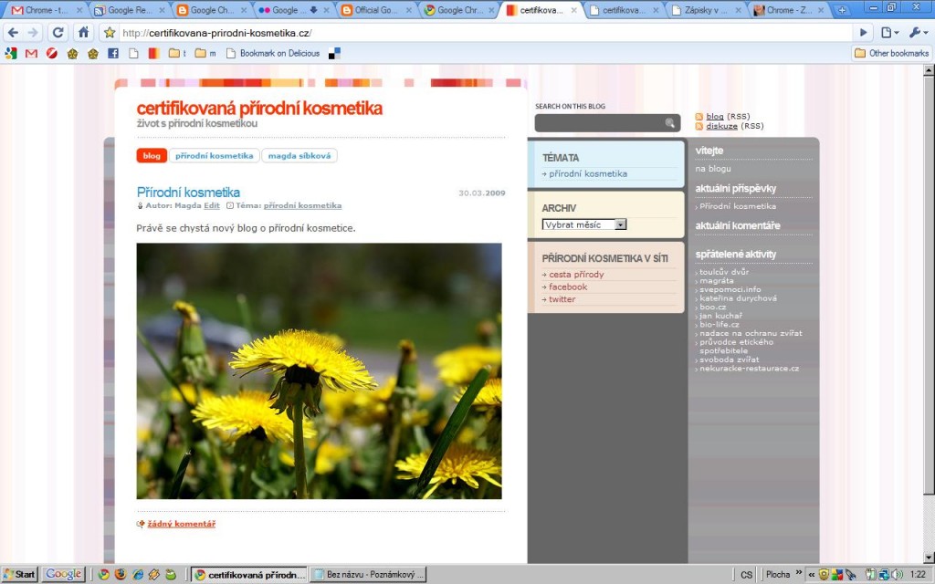 chrome_nahled chrome_nahled