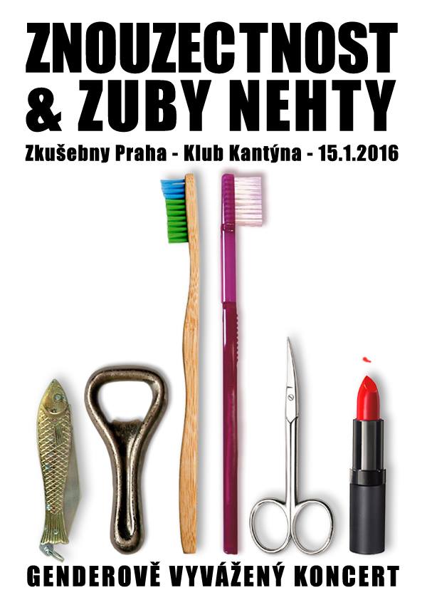 znc_30_koncert
